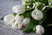 White Flowers: Know About Different Types, Colors & Sizes