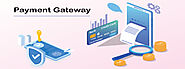 Online Payment Gateway Services | Naxosoft Company