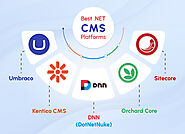 Unlocking Your Business Potential: The Top .NET CMS Platforms For Dynamic Websites