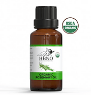 Get 100% Organic Rosemary Oil at Essential Natural Oils