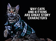 Why Cats and Kittens are Great Story Characters - Lynda Hamblen