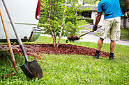 Reasons Why You Should Hire a Professional Landscaper