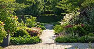 Best Ideas To Build a Low-maintenance Yard