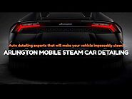 Arlington Mobile Steam Car Detailing ‑ We Will Make Your Automobile Impeccably Clean!