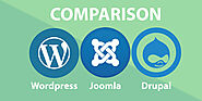 Joomla vs Drupal vs WordPress : What is the best CMS to power a digital business?
