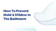 How To Prevent Mold & Mildew In The Bathroom?