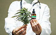Medical Marijuana How Can You Strengthen Your Business Plan?
