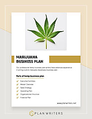 Website at https://business-planning-services.blogspot.com/2021/05/marijuana-business-plan.html