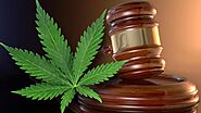State Cannabis Law Requirements Incorporated in Business Plan