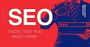 Amazing Facts About Search Engine Optimization | Lost Survivors