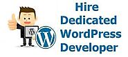 7 Reasons Why You Must Hire WordPress Developers
