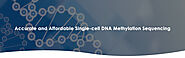 Single-cell DNA Methylation Sequencing – CD Genomics