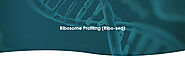 Ribosome Profiling (Ribo-seq) – CD Genomics