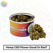 Hemp CBD Flower Good Or Bad? - Flower Of Life CBD