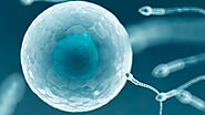 How IVF has proved to be a lifesaver for most of the couples around?