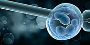 Ways to Boost Fertility and Increase Sperm Count in Men