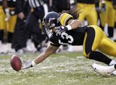 Troy Polamalu - '08 Pittsburgh Steelers