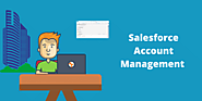 An overview of what is Account Teams in Salesforce