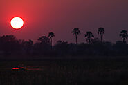 The Okavango Delta