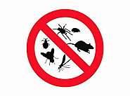 Misconceptions When Selecting a Pest Control Company In Auckland