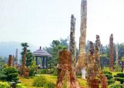 Xianhu Lake Botanical Garden