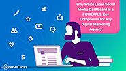 Why White Label Social Media Dashboard is POWERFUL Key Component for any Digital Marketing Agency?