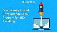 One Insanely Useful Private/White Label Program for SEO Reselling