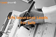 Life Insurance Leads For Sale