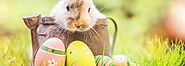 A History of Easter| Traditions, Food, Activities, and discounts!