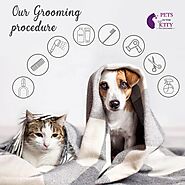 https://petsinthecity.me/