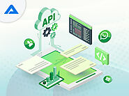 WhatsApp Business API: Your Ultimate Guide Updated 2024