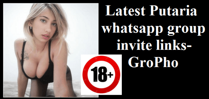 1000+ XXX Whatsapp Groups Invite Links | A Listly List