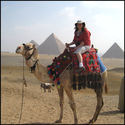 Camel rides