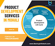Best Product Development Services In Mohali | Backup Infotech