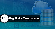 Listing the Top Big Data Analytics Companies of November 2020 – An analysis by TopDevelopers.co.