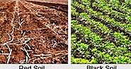 Types of soils of India | my experiences ~ My Experiences