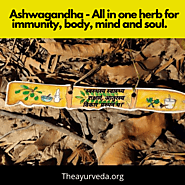 Ashwagandha benefits: All in one herb for immunity, body, mind and soul.
