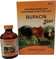 Bupacin Plus: Buparvaquone Injection For Animals In Tanzania