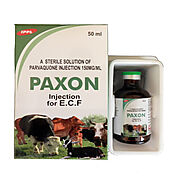 Paxon: Parvaquone Injection for Animals/Pets in Tanzania