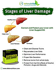 Buy Best Liver Cleanse Kit to Prevent Liver Damage - Extended Liver Support kit