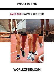 Average Calve Size