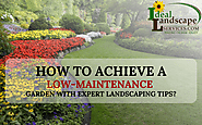 How to Achieve a Low-Maintenance Garden with Expert Landscaping Tips?