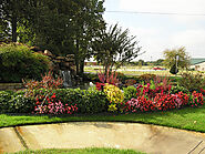 Fort Worth Landscaping For Shaping Your Lawn