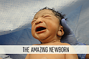 The Amazing Newborn Online Class