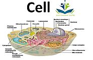 Cell - dish coaching center