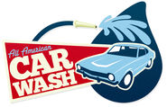 wash the car