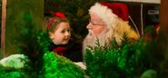 Santa’s Grotto at The Medieval Museum | Waterford Winterval - Ireland's Christmas Festival