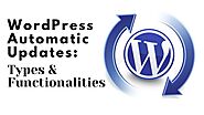 WordPress Automatic Updates: Types & Functionalities – Telegraph