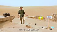Why do we exist ? Desertcart Find Anything