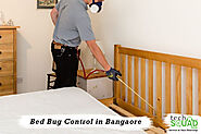 Bed Bug Pest Control services in Hyderabad